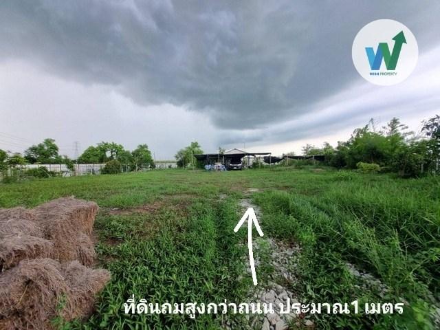 ที่ดินเลียบคลอง 13 หนองจอก แปลงมุม ถมแล้ว สวยตรงปก ไม่ต้องเสียเงินถมเพิ่ม หนองจอก 1ไร่ 62 ตร.ว 2