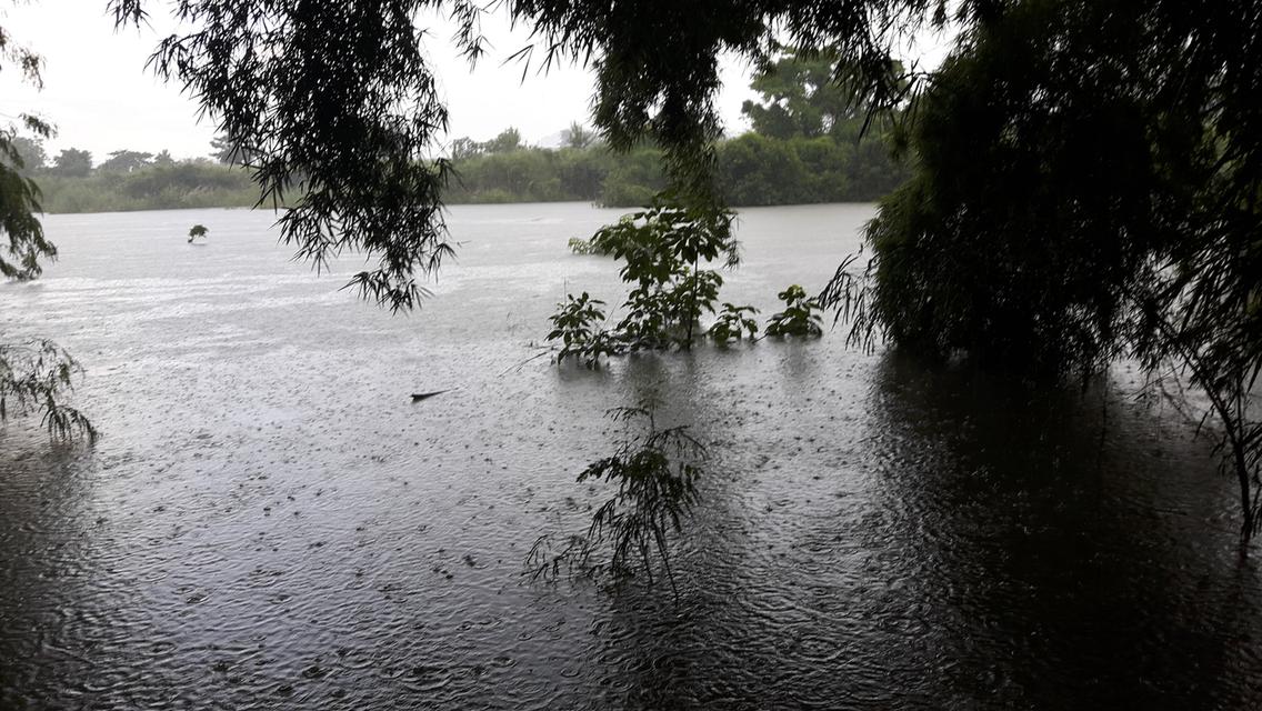 ขายที่ดินติดแม่น้ำป่าสัก 38-1-73 ไร่ แถมที่ดินเป็น น.ค.3 จำนวน 18 -2-59 ไร่ 6