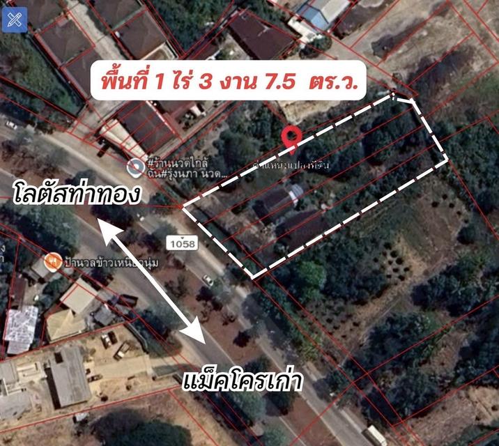 ที่ดินในจังหวัดพิษณุโลก 4