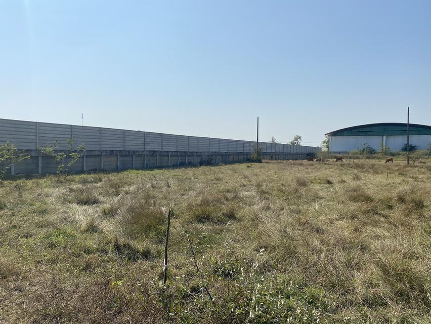 ขายที่ดิน 125 ตรว จังหวัด ลำพูน ต มะเขือแจ้ อ เมือง  ขาย 250,000 1