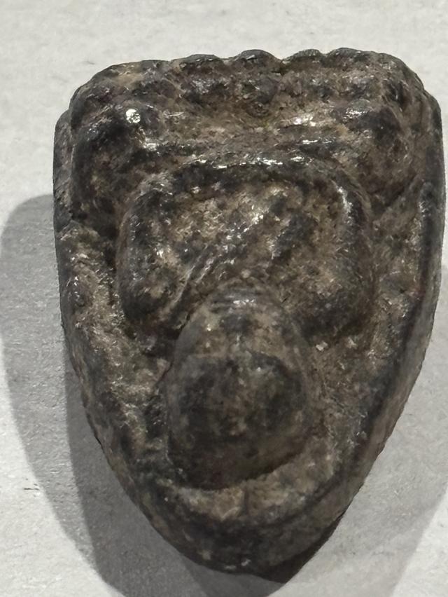 หลวงพ่อทวด2497 เนื้อว่าน 6