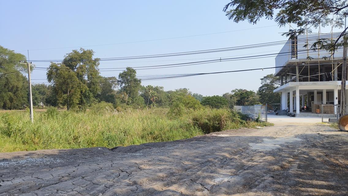 ขายด่วน ที่ดินทำเลทอง 3 ไร่เศษ ติดถนนสายเอเชีย ใกล้เมืองอ่างทอง 4