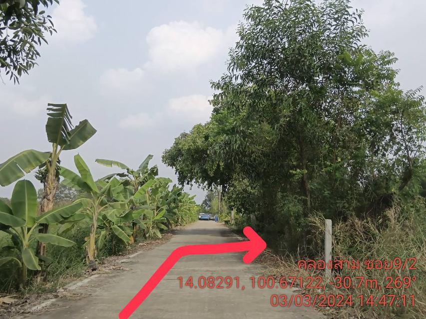 ‼️ขายที่ดินเปล่าถูกมากๆ คลองหลวง ซอยคลอง 3 9/2 12