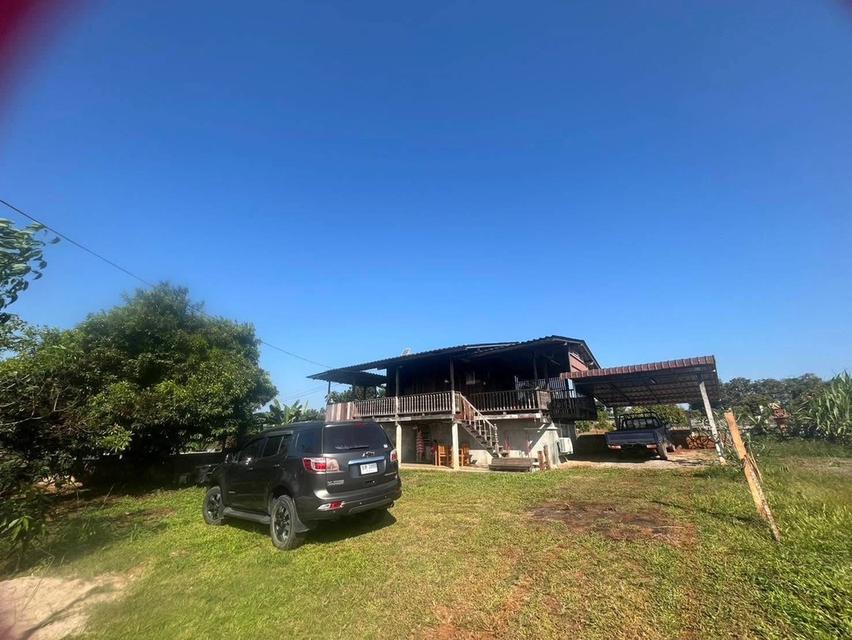 บ้านเดี่ยวพร้อมที่ดิน 3ห้องนอน3ห้องน้ำ 10