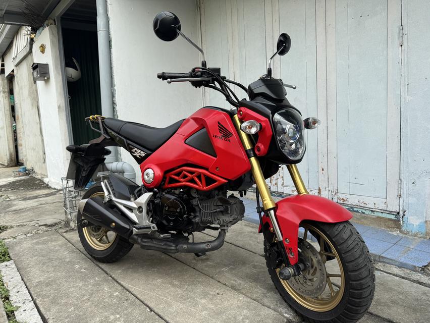 Honda MSX125 Standard รถพร้อมใช้งาน รูปที่ 1