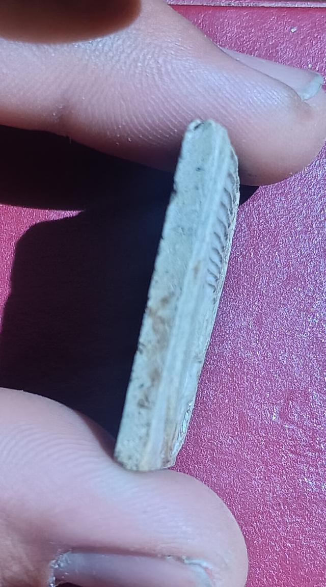 สมเด็จหลวงปู่ภู 8ชั้น แขนหักศอก 5