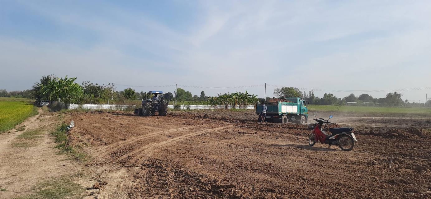 ขายที่ดินแปลงเล็กถมเเล้ว ผ่อนได้ ต. หนองผักนาก อ.สามชุก จ.สุพรรณบุรี 3