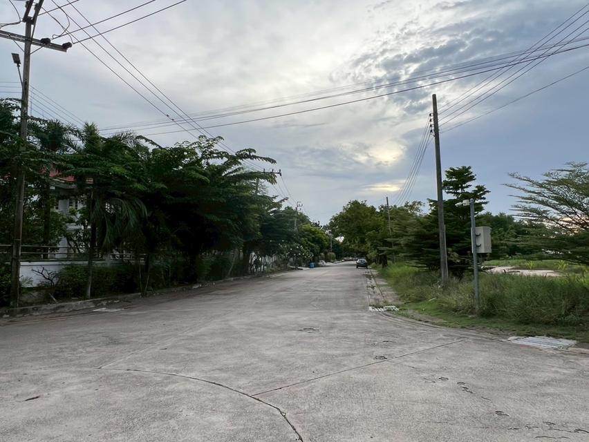 ขายที่ดินเปล่าถมแล้ว หมู่บ้านกรีนวัลเล่ย์ บางนา-ตราด กม.15 แปลงสวย ทำเลดี พร้อมสร้างบ้าน 12