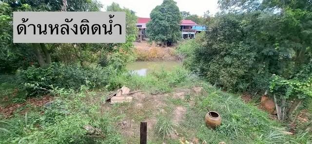 ขายบ้านสวนริมน้ำ จังหวัดพระนครศรีอยุธยา บ้านไม้เรือนไทย บนที่ดินแปลงสวย 315 ตารางวา ติดคลอง ใกล้แม่น้ำเจ้าพระยา 7