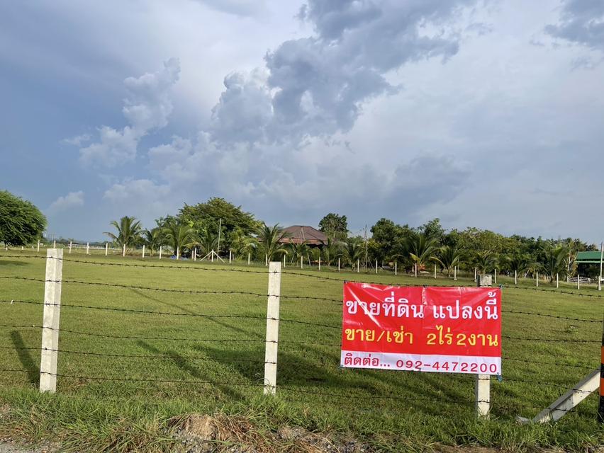 ขายที่ดิน 2 ไร่ 2งาน ตำบล พุกร่าง อำเภอพระพุทธบาท สระบุรี 6