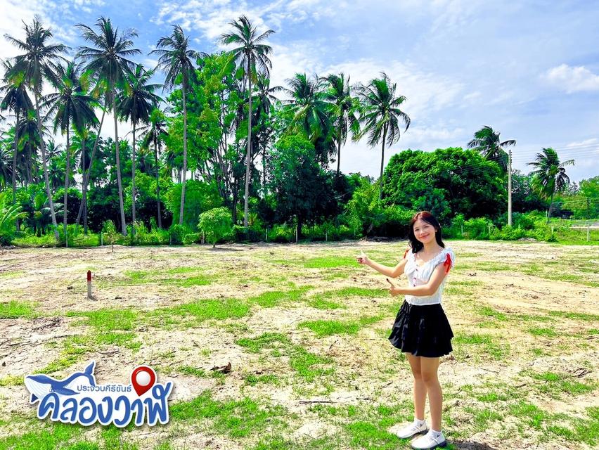 ที่ดิน.ใกล้หาด วิวภูเขา ห่างทะเลเพียง 5 นาที แบ่งขาย 110-200 ตรว.  ต.คลองวาฬ อ.เมือง  จ.ประจวบคีรีขันธ์ 7