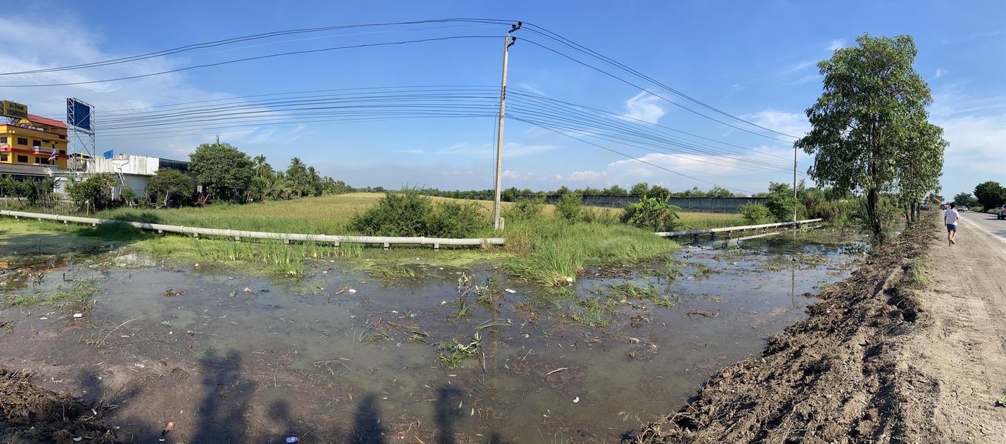 ขายที่ดิน42ไร่ นนทบุรี 3
