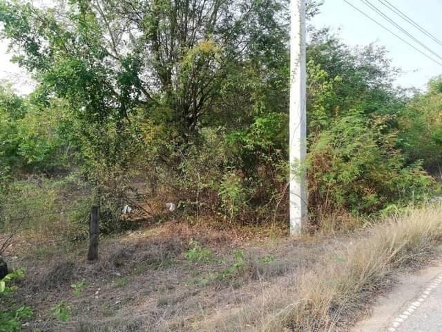 ใกล้ปีใหม่ดูทรัพย์มีมูลค่า ขายที่สวยติดทางหลวง1107 บ้านตาก จ.ตาก คมนาคมสะดวก ไร่ละ 300000 ต.ตากตก อ.บ้านตาก จ.ตาก 083712 3