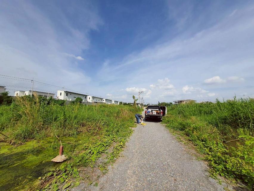 ขายด่วนที่ดินซอยวัดคลองตาคล้าย 128 ตรว ติดถนนสาธารณะ อ.ไทรน้อย จ.นนทบุรี 5