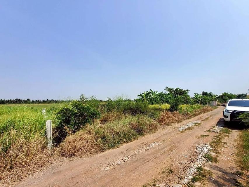 ขายด่วน ที่ดินตรงข้ามองค์การบริหารตำบลบ่อเงิน 40 ตารางวา ถนนสาธารณะ ถมแล้ว ต.บ่อเงิน อ.ลาดหลุมแก้ว จ.ปทุมธานี 2