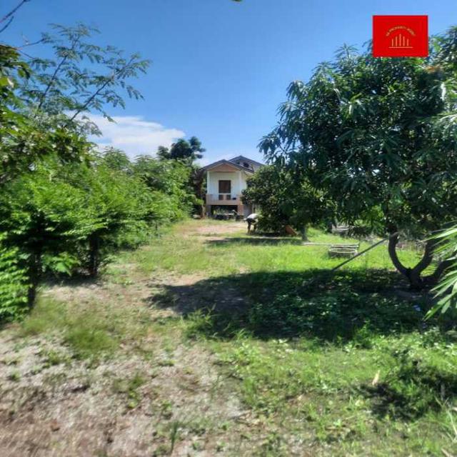 รูป ขาย บ้านเดี่ยว บ้านเดี่ยวพร้อมที่ดินเยอะบ้านสร้างเอง บ้านสวน 98 ตรม. 1 งาน 58 ตร.วา ราคาดี บรรยากาศร่มรื่น 2
