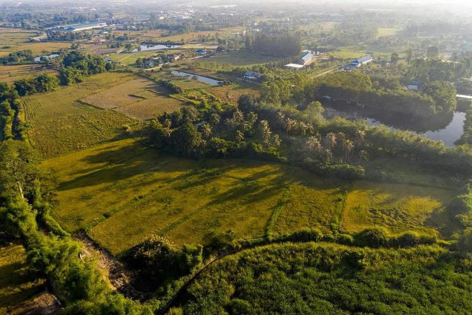 ที่ดินสวยวิวเขาหนองรี 2