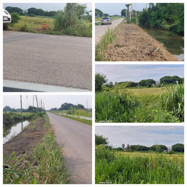 ที่ดินโฉนด737ตรว.ราคาถูก 2