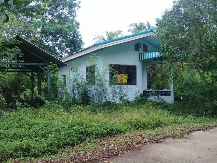 บ้านและที่ดิน ตำบลปากพนังฝั่งตะวันตก 4