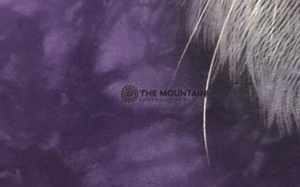 เสื้อยืด The Mountain รูปที่ 3