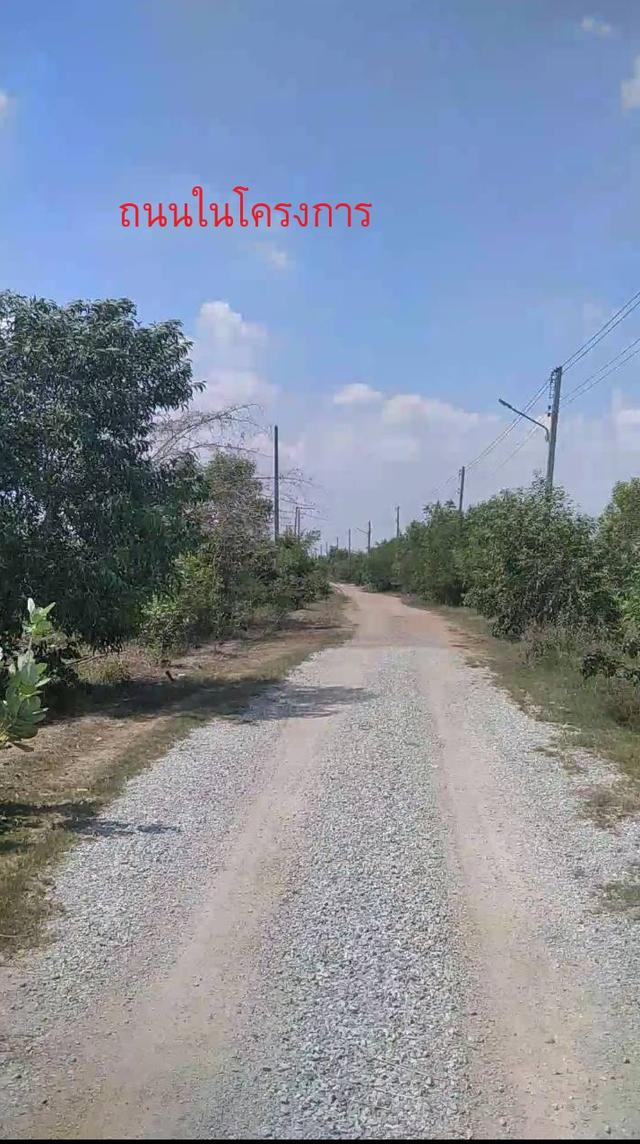 ขายที่ดินจัดสรร 72 ตรว. ใกล้สี่แยกบางคล้า ต.เสม็ดเหนือ จ.ฉะเชิงเทรา 9