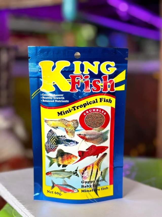 King Fish Mini Tropical Fish 3