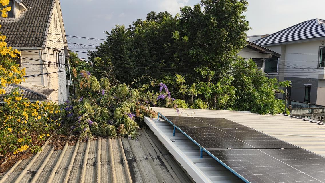 ด่วน....ถูก และ ดี รามอินทรา34 -ติดทางด่วน ขายที่ดิน42 ตรว แถมบ้าน !!!2 ชั้น 3น. 3 น 3 แอร์ 3จอดรถ /2.99 ลบ. 8