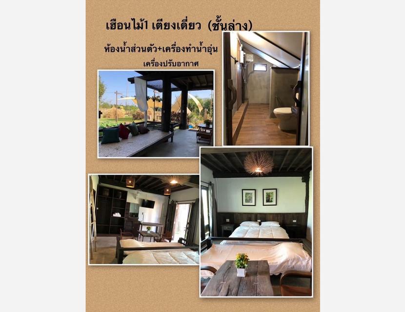 ให้เช่า/ขาย โฮมสเตย์เมืองเชียงราย บรรยากาศโรแมนติค ใกล้ชิดธรรมชาติ แบ่งเป็นบ้านพัก 2 หลัง 684 ตร.วา 5 ห้องนอน 11 ห้องน้ำ ใกล้ไร่เชิญตะวัน 6