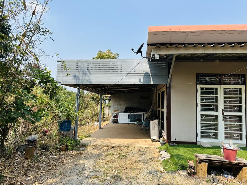 บ้านเดี่ยว 2 ห้องนอน 1 ห้องน้ำ 6