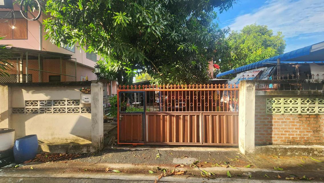 บ้าน+ที่ดิน 4