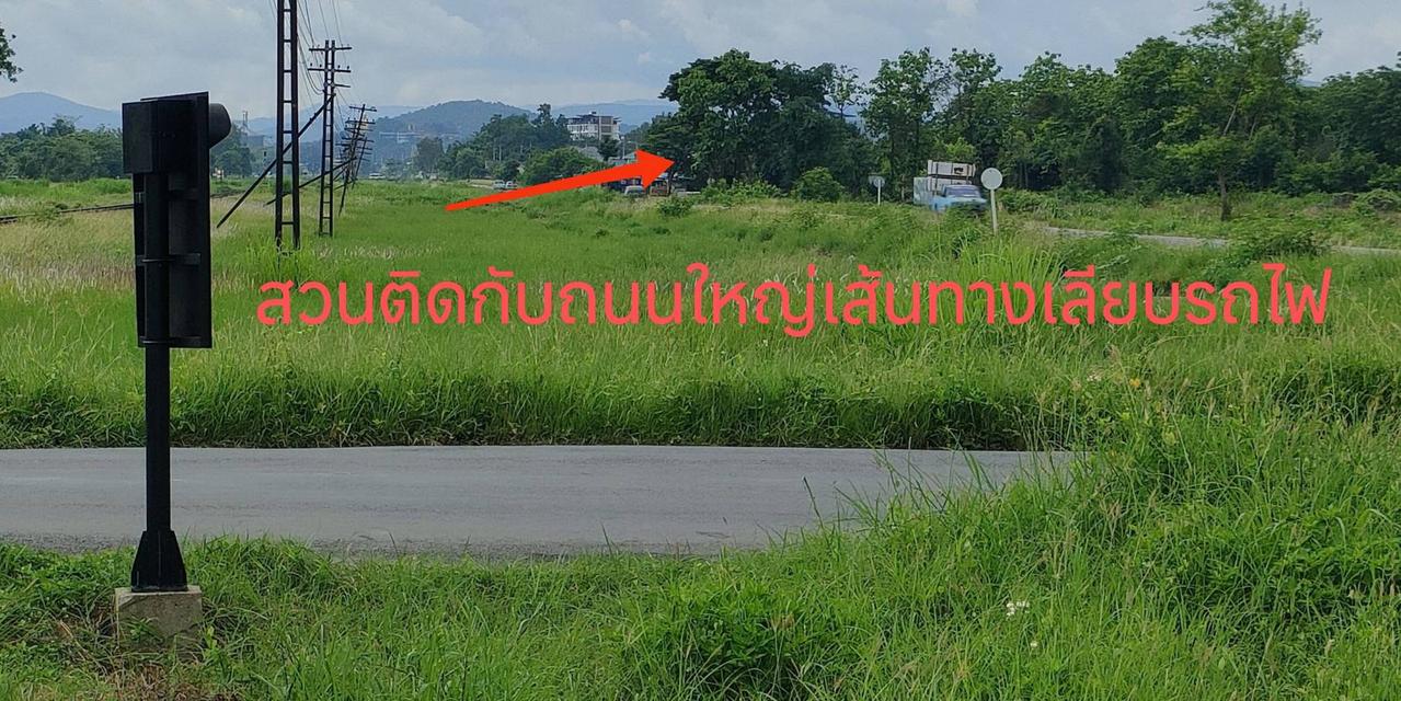 ขายที่ดินพร้อมต้นสักทำเลดีติดถนนเลียบทางรถไฟเขตชุมชนใน อ.เมือง จ.ลำพูน 6