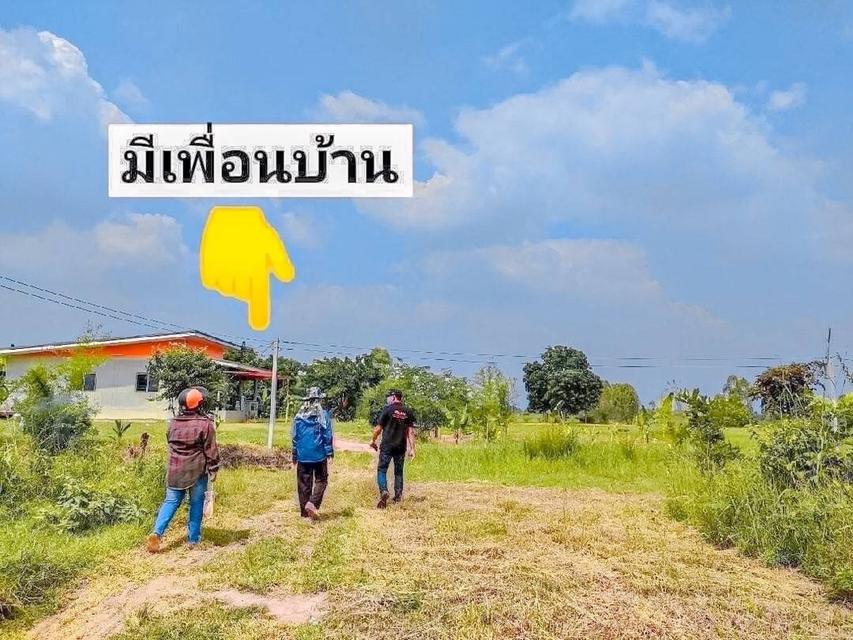ที่ดิน จอมบึง จ. ราชบุรี ขนาด 100 ตรวา สดผ่อนได้ 5