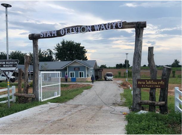 🚩 ขายที่ดิน พร้อมฟาร์มปศุสัตว์โครงสร้างครบ ขนาด 26 – 3 -19 ไร่ ตำบลสระจระเข้ อำเภอด่านขุนทด นครราชสีมา 1