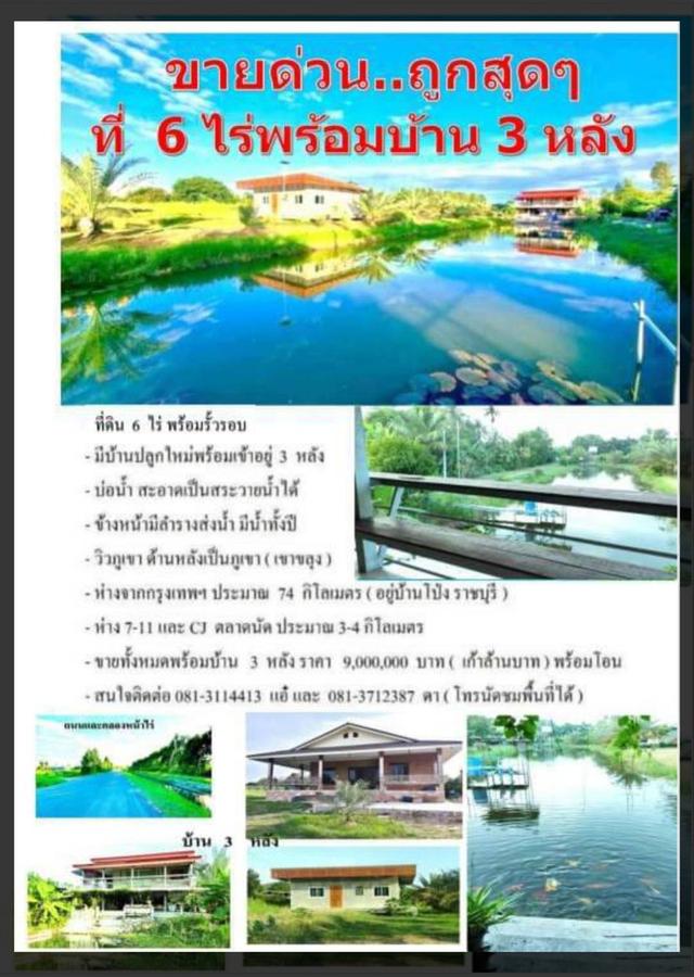 ขายที่ดิน อ.บ้านโป่ง  จ. ราชบุรี 6 ไร่ พร้อมบ้าน 3 หลัง  12