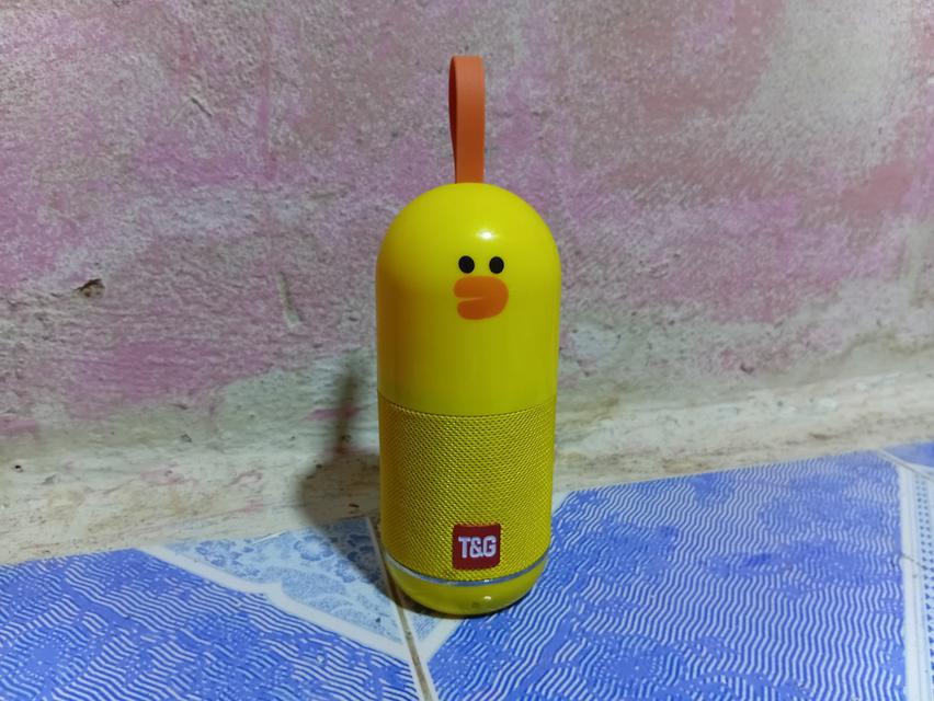 ลำโพงบลูทูธ T&G 2