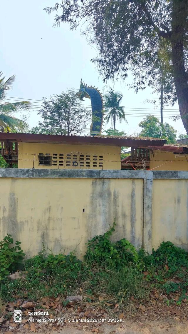 ชายที่ดินเปล่าถมแล้วพร้อมปลูกบ้าน 6