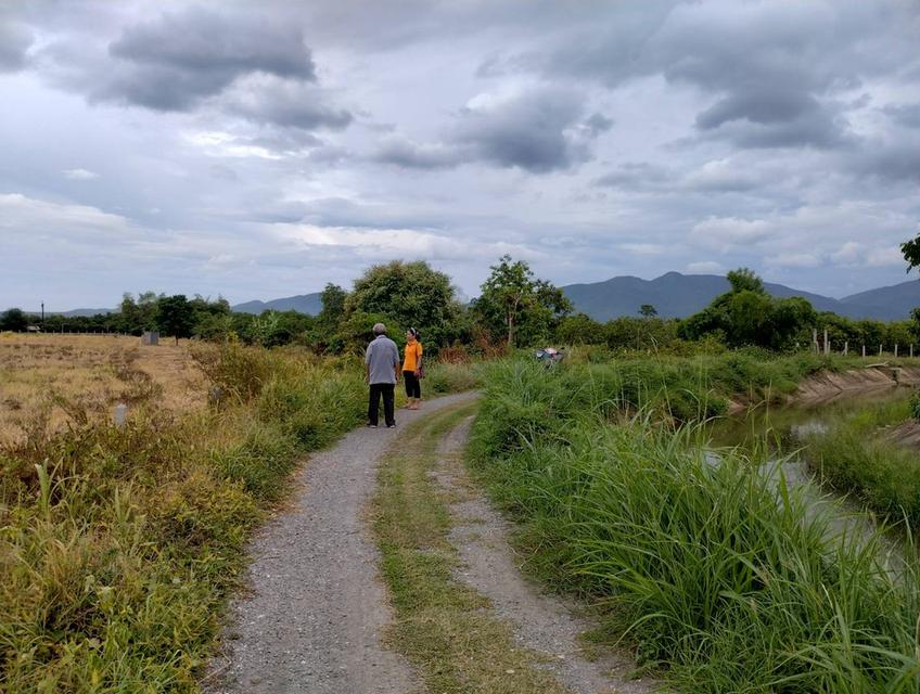 ที่ดินวิวดอย แหล่งธรรมชาติ ติดคลองชลประทาน อ.บ้านโฮ่ง จ.ลำพูน  4