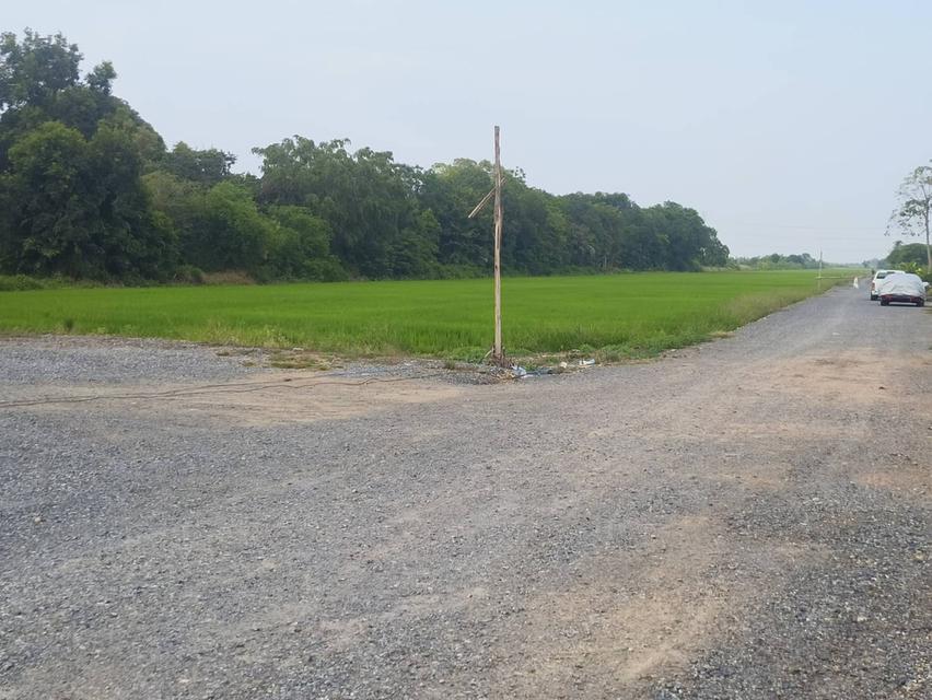 ขายที่ดิน 40 ไร่ คลอง 12 ธัญบุรี 1
