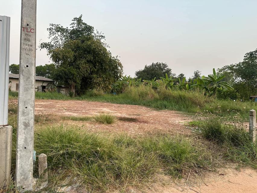 ที่ดินในเขตเทศบาลวัดโบสถ์ อำเภอวัดโบสถ์ จังหวัดพิษณุโลก 6