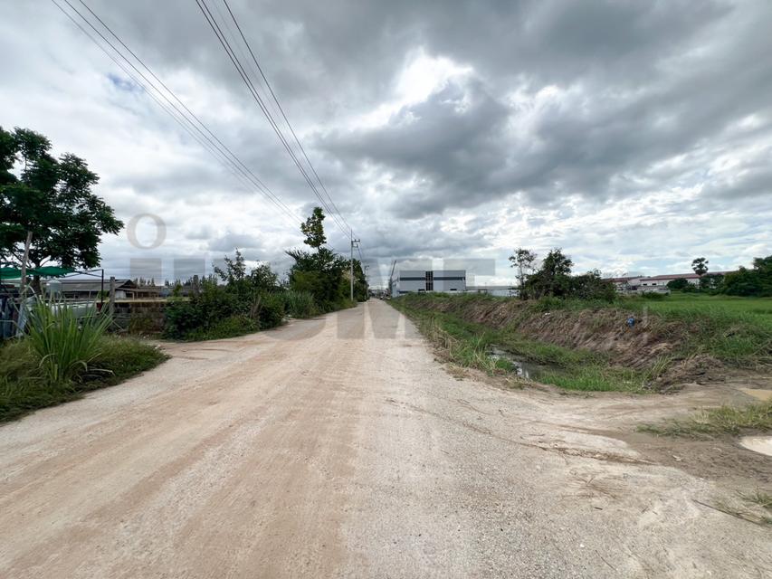 ขาย ที่ดิน บ้านบึง หนอง บอน แดง ชลบุรี(พร้อมสิ่งปลูกสร้าง) รูปที่ 7