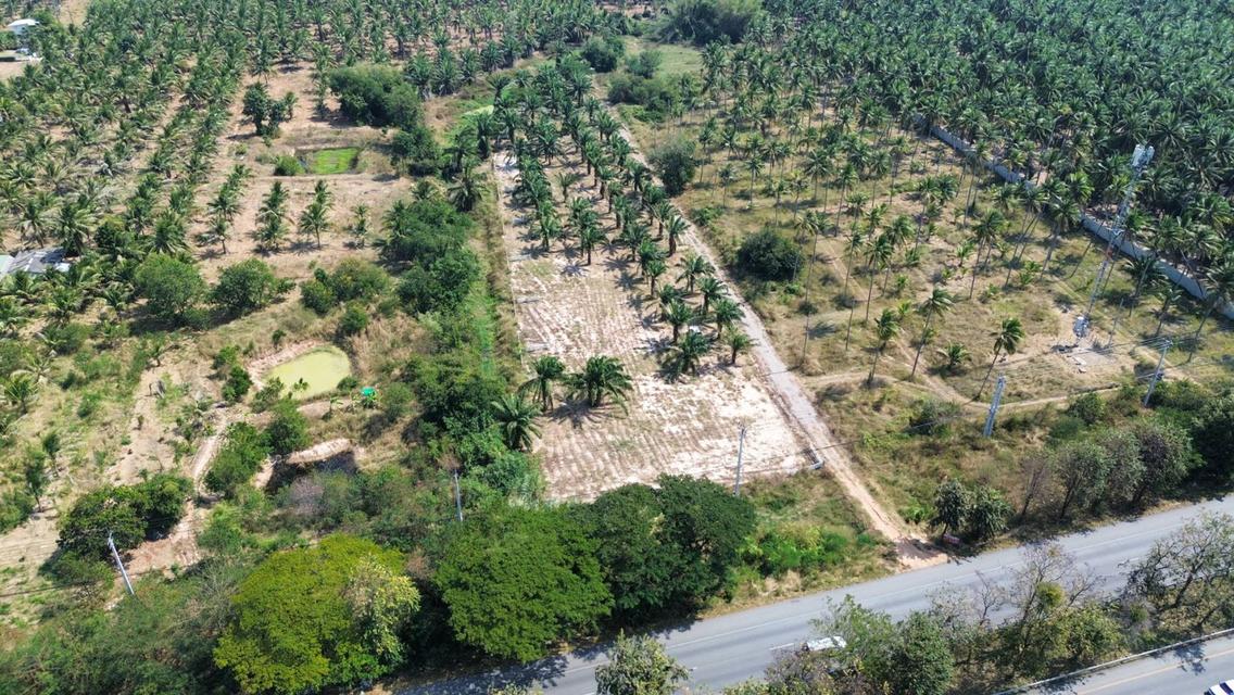 ขายที่ดินทับสะแกแลนด์ 5-3-96 ไร่ ติดถนนสายเอเชีย ทำเลทอง ราคาสำหรับนักลงทุน เพชรเกษมขาล่องใต้ ประจวบคีรีขันธ์ 1