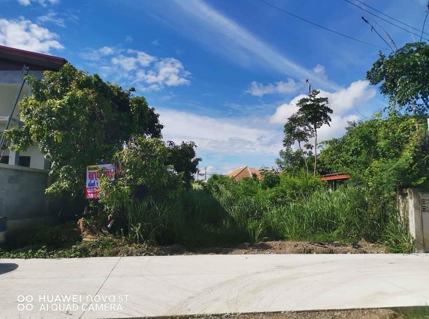 ที่ดินเปล่า 115 ตารางวาที่สัตหีบ รูปที่ 12