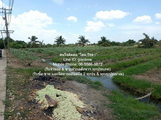 SALE ที่ดิน ขายที่ดินทางการเกษตร (ต้นดอกรัก) อ.นครชัยศรี นครปฐม 4-1-67 ไร่ ราคา 8,835,000 บาท พื้นที่ 1767 sq.wa ใกล้ ใก 6