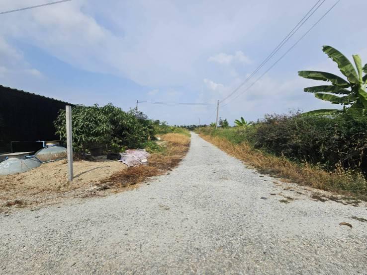 ขายที่ดินเปล่า แปลงมุม  ติดถนน 2 ด้าน ซอยวัดศรีวารีน้อย  อำเภอบางเสาธง สมุทรปราการ 10