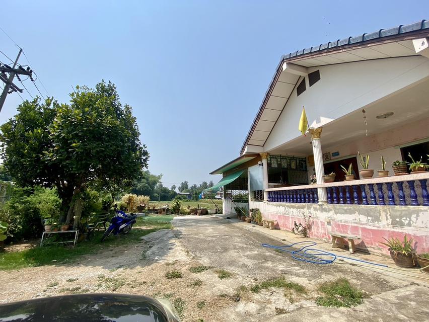 ขายบ้านพร้อมที่ดิน 360 ตารางวา 6