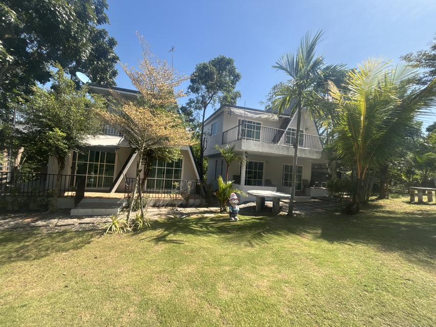 ที่ดิน พร้อมสิ่งปลูกสร้าง  3