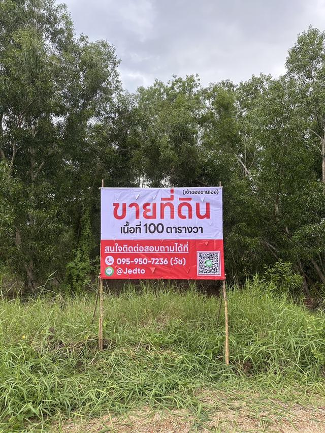 ประกาศขายที่ดิน คลอง6 ซอย คลองหกตะวันตก53 เนื้อที่ 100 ตารางวา ตำบลคลองหก อำเภอคลองหลวง ปทุมธานี** 3