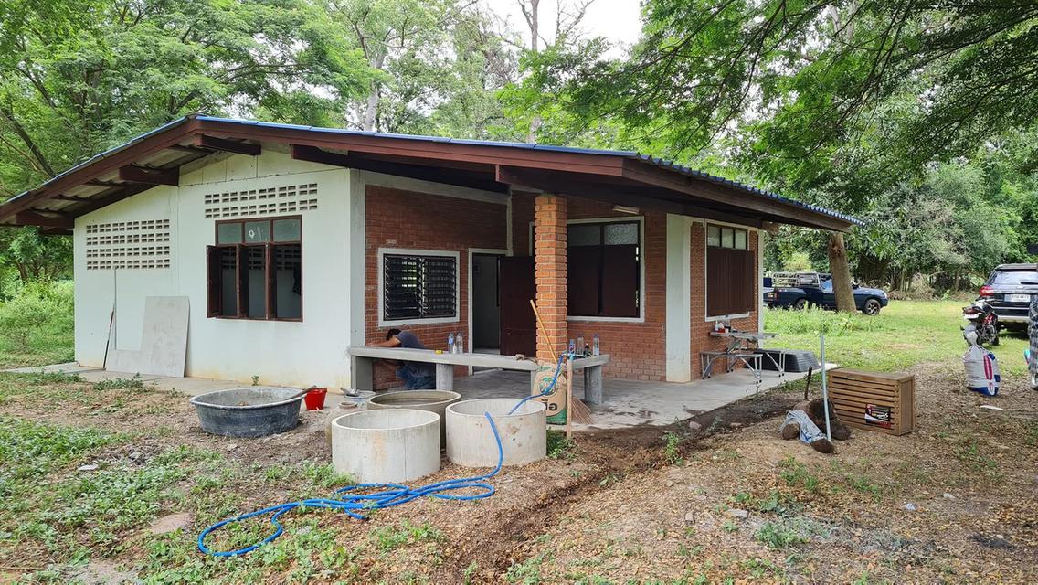 ต้องการขายที่ดิน จำนวน 15.1.58 จังหวัดราชบุรี อำเภอปากท่อ บรรยากาศดีใกล้แหล่งความเจริญ น้ำไฟพร้อม 4