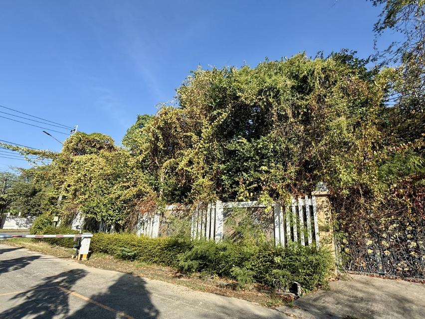 ขายบ้านเดี่ยว 2 ชั้น หมู่บ้านกรีนวัลเล่  อำเภอบางพลี  จังหวัดสมุทรปราการ 2