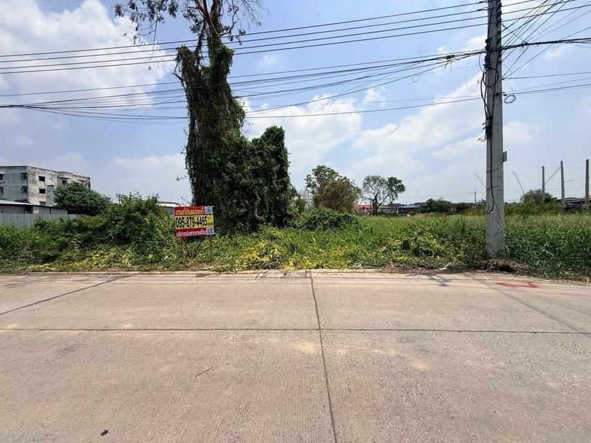 ขายที่ดินใกล้รถไฟฟ้า 309 ตารางวา - ติ ติดถนนสาธารณะ ต.คูคต อ.ลำลูกกา จ.ปทุมธานี 2